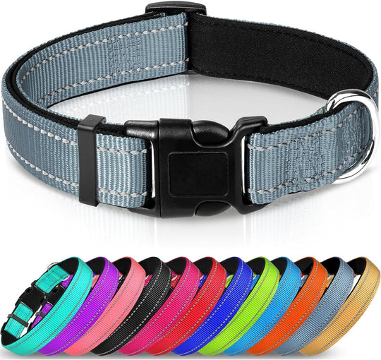 Adjustable Reflective Nylon Webbing Dog Collar - PetAccessoryPalace