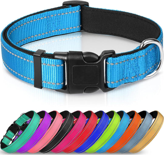 Adjustable Reflective Nylon Webbing Dog Collar - PetAccessoryPalace