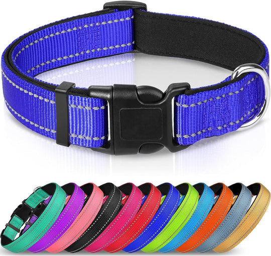 Adjustable Reflective Nylon Webbing Dog Collar - PetAccessoryPalace