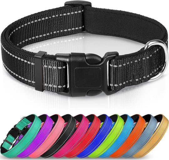 Adjustable Reflective Nylon Webbing Dog Collar - PetAccessoryPalace