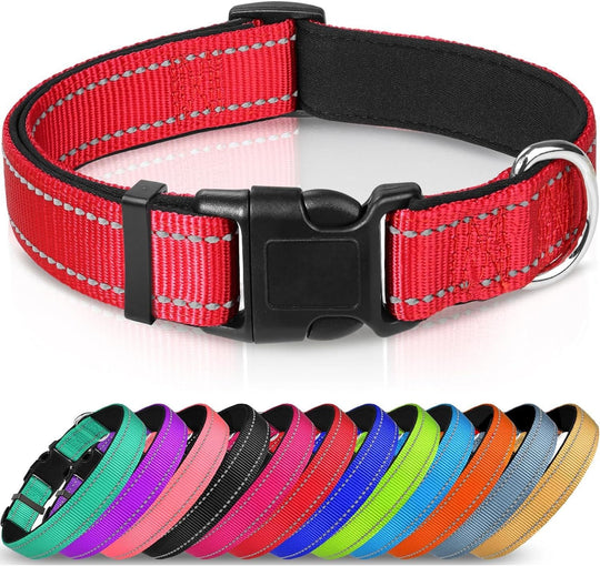 Adjustable Reflective Nylon Webbing Dog Collar - PetAccessoryPalace