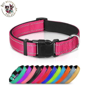 Adjustable Reflective Nylon Webbing Dog Collar