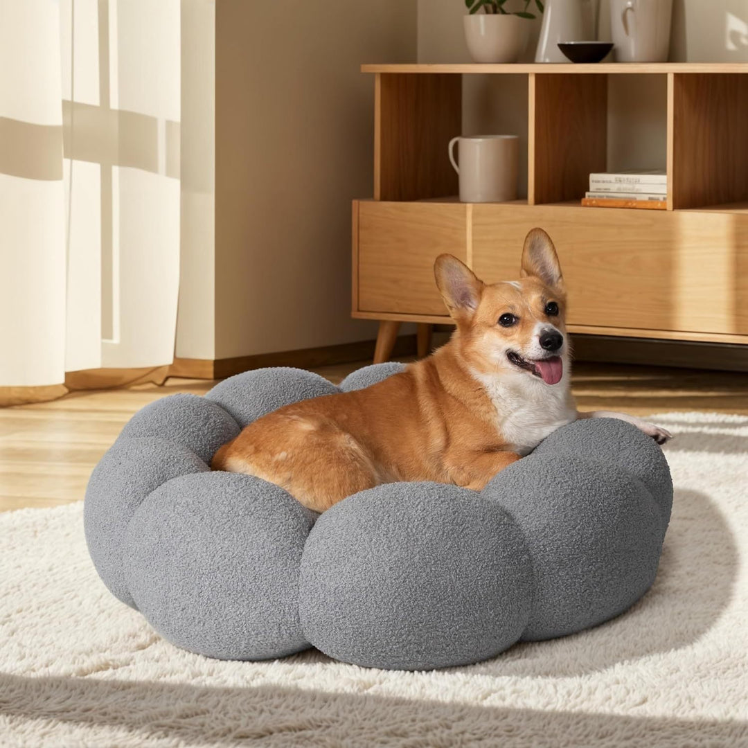 Calming Cat Beds For Indoor Cats - PetAccessoryPalace