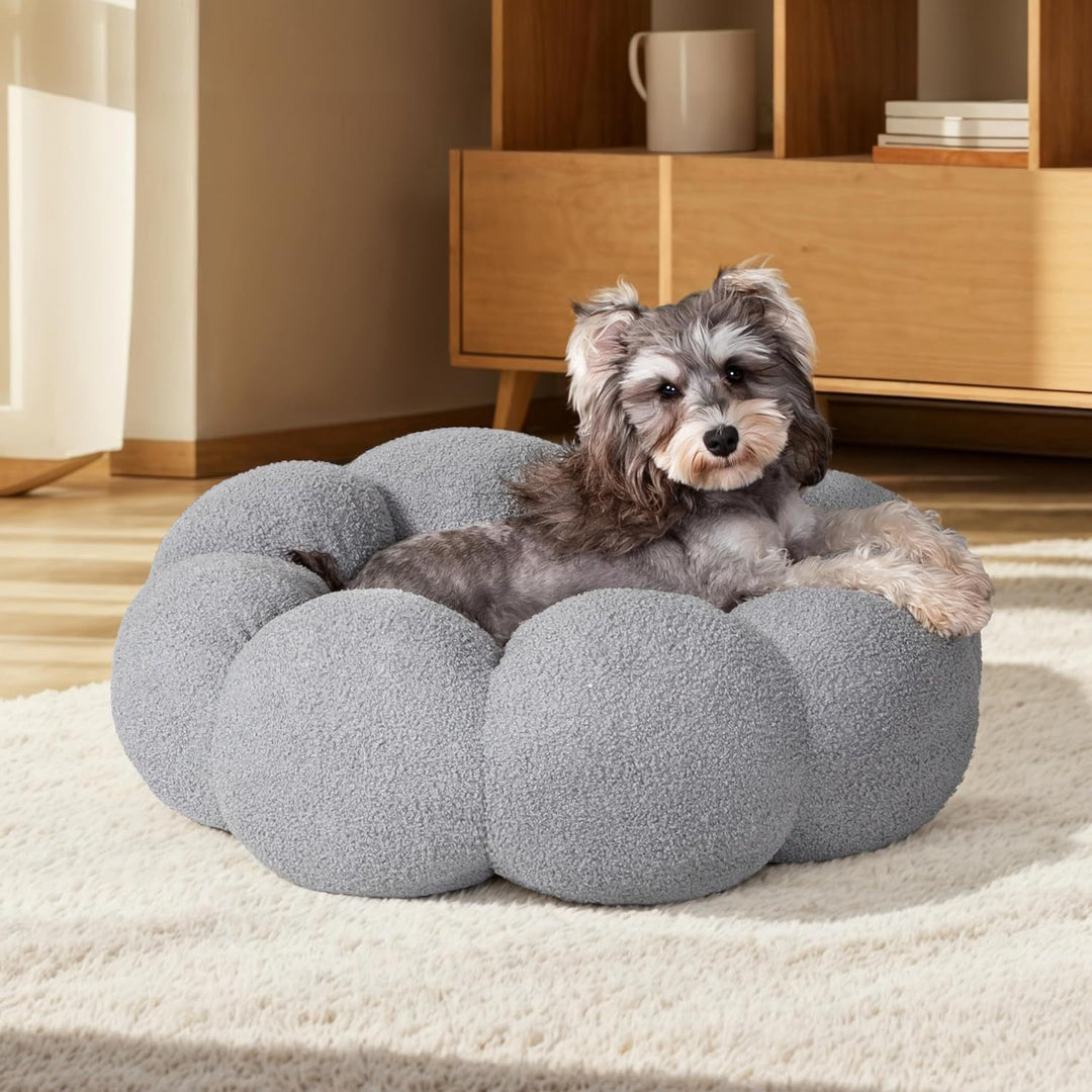 Calming Cat Beds For Indoor Cats - PetAccessoryPalace