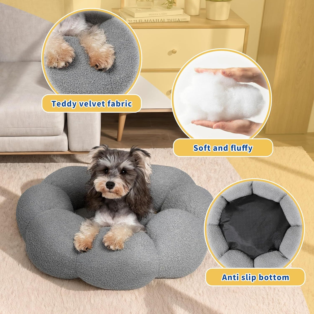 Calming Cat Beds For Indoor Cats - PetAccessoryPalace