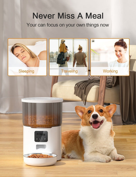 Cat Smart Dog Automatic Pet Feeder - PetAccessoryPalace