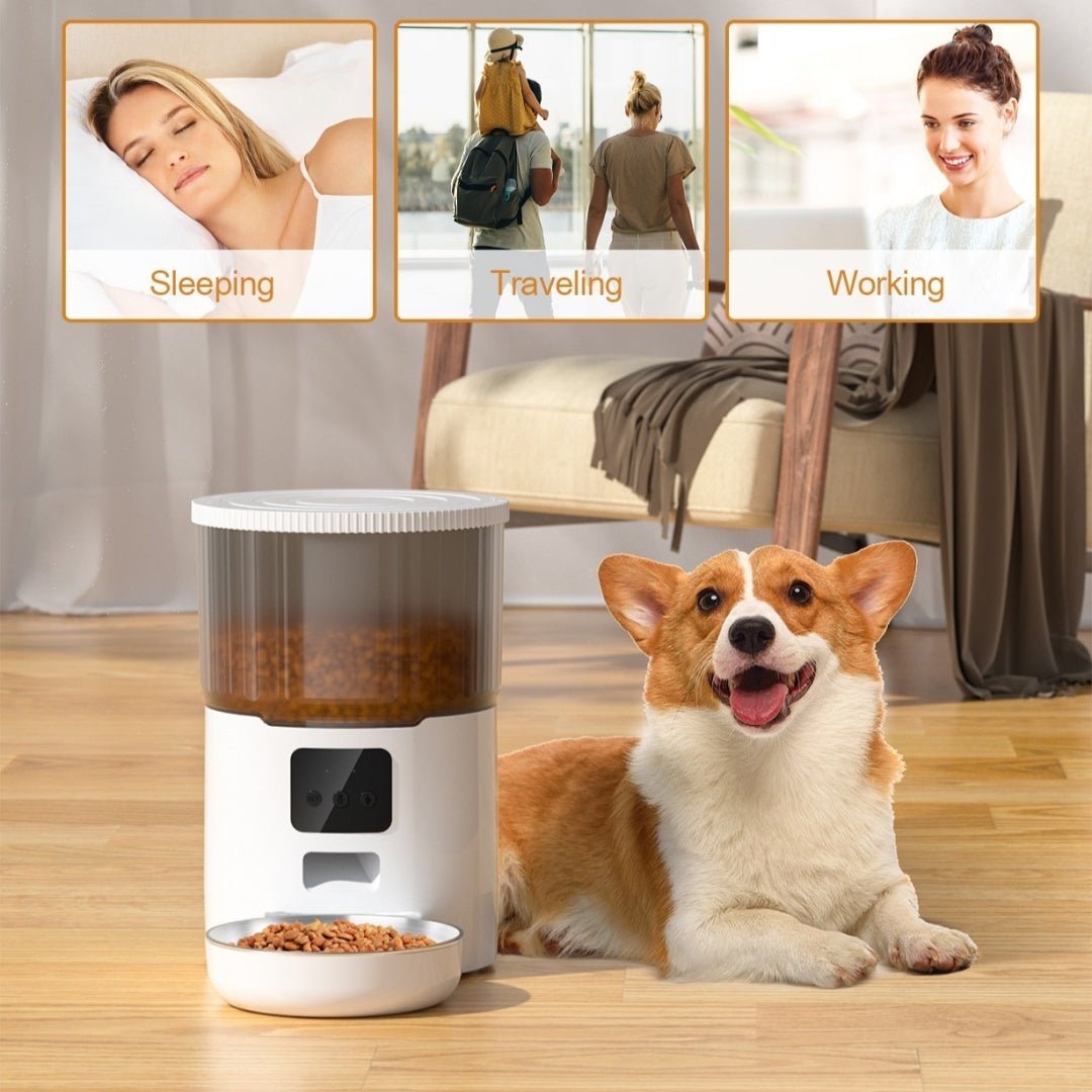 Cat Smart Dog Automatic Pet Feeder - PetAccessoryPalace