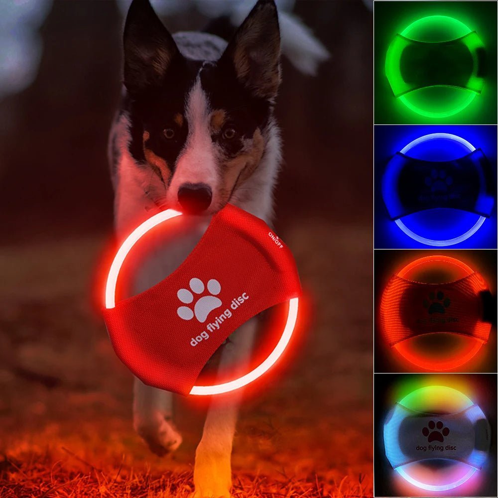 Glowing LED Dog Flying Discs - PetAccessoryPalace