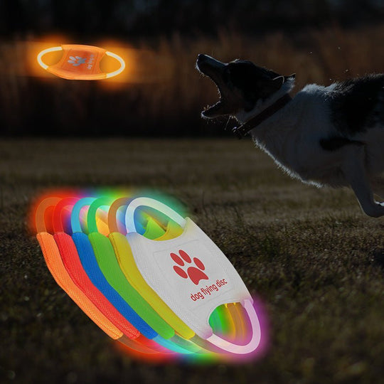 Glowing LED Dog Flying Discs - PetAccessoryPalace