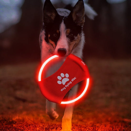 Glowing LED Dog Flying Discs - PetAccessoryPalace