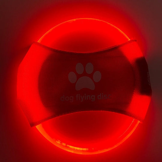 Glowing LED Dog Flying Discs - PetAccessoryPalace