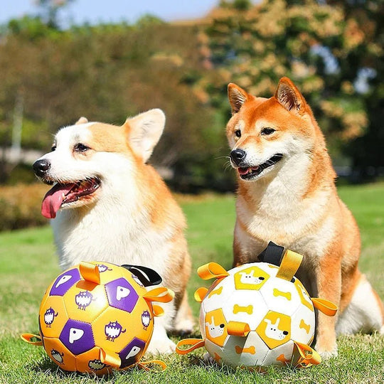 Interactive Dog Football Toys - PetAccessoryPalace