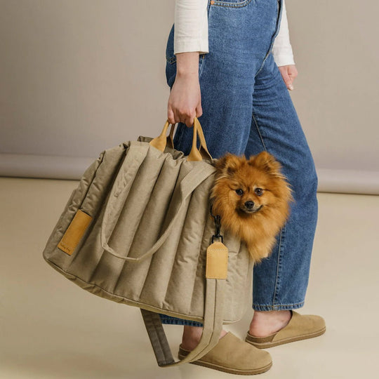 Pet Carrier Bag - PetAccessoryPalace