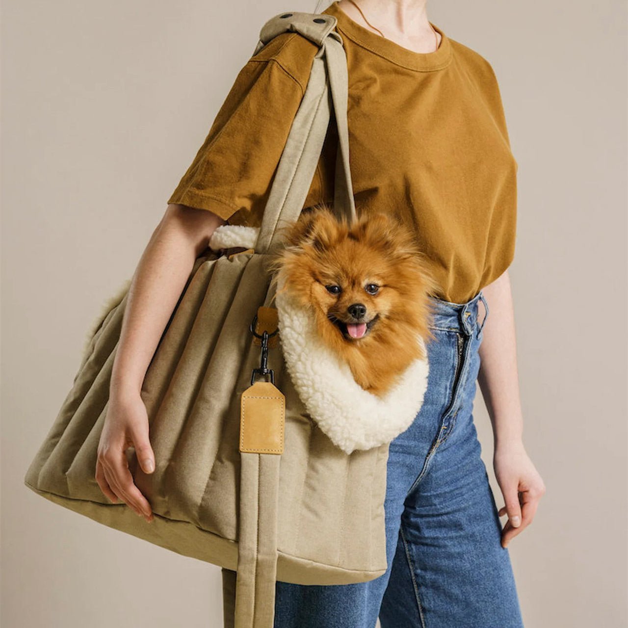 Pet Carrier Bag - PetAccessoryPalace