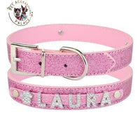 Pet Collar Accessories