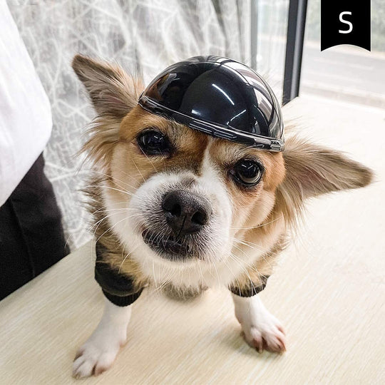 Pet Helmet - PetAccessoryPalace