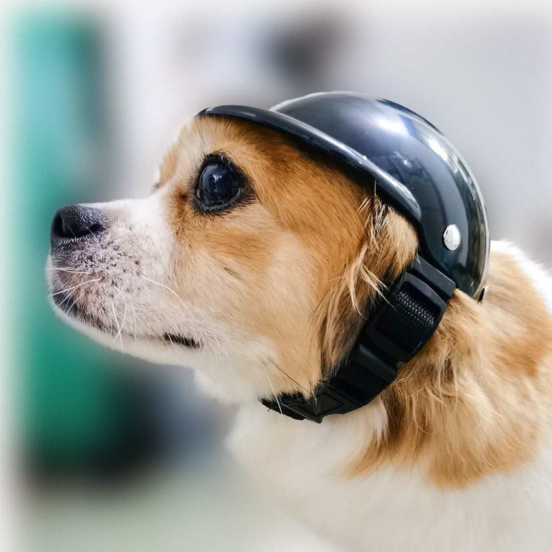 Pet Helmet - PetAccessoryPalace