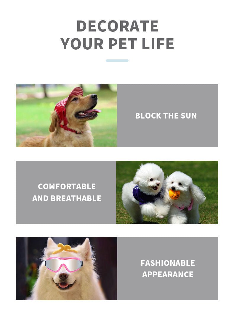 Pet wind Protection Glasses - PetAccessoryPalace