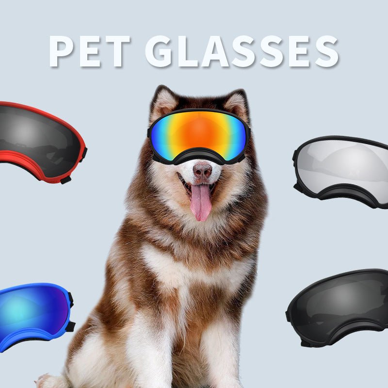 Pet wind Protection Glasses - PetAccessoryPalace