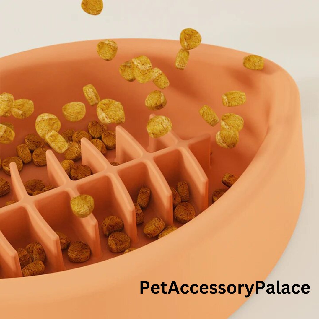 Silicone Pet Anti - choke Slow Feeding Bowl With Suction Cup - PetAccessoryPalace