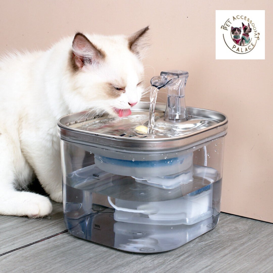 Stainless Steel Pet Water Fountain - PetAccessoryPalace