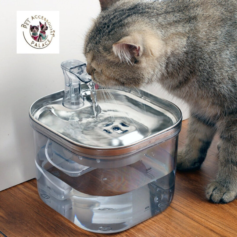 Stainless Steel Pet Water Fountain - PetAccessoryPalace